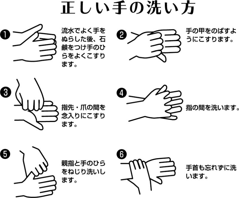 正しい手の洗い方（例）_紀陽除虫菊