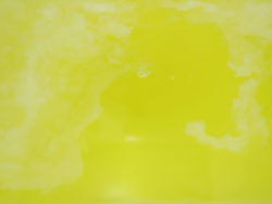 N-8877_薬用入浴剤Citrus_01ハニーレモネードの香り04_紀陽除虫菊