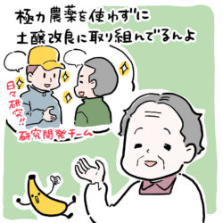 こくぼ農園_蜜の月バナナ_漫画05