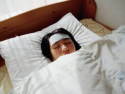 冷やし増す_紀陽除虫菊01