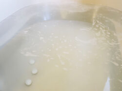 薬用jeak_紀陽除虫菊16