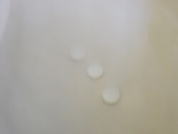 薬用jeak_紀陽除虫菊13