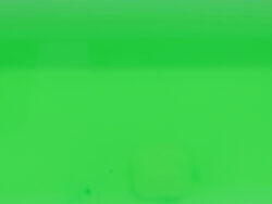 N-8966_香り魅せられて_沈丁花_紀陽除虫菊06