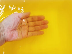 N-8964_香り魅せられて_ミモザ_紀陽除虫菊05