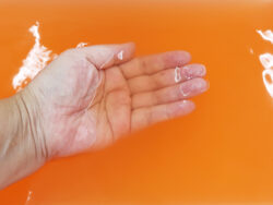 N-8965_香り魅せられて_ピンクローズ_紀陽除虫菊05