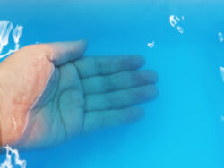 N-8967_香り魅せられて_すずらん_紀陽除虫菊05