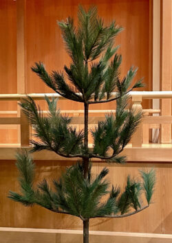 松の木_紀陽除虫菊