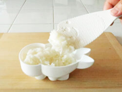 KK-698_おひるねあざらしごはん型_KOKUBO小久保工業所11