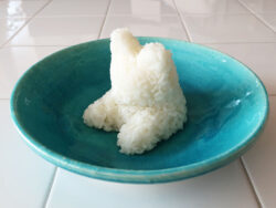 KK-700_ふせするワンワンごはん型_KOKUBO小久保工業所20