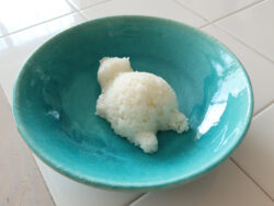 KK-699_コロンとくまさんごはん型_KOKUBO小久保工業所17